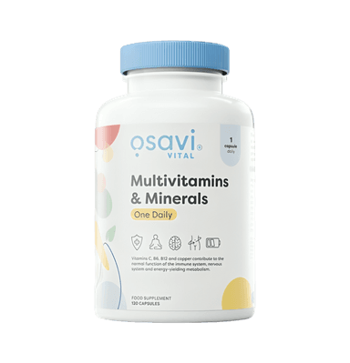 Multivitamins & Minerals One Daily