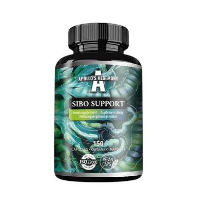 Apollo's Hegemony Sibo Support